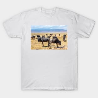 Wildebeest herd at Ngorongoro Crater in Tanzania T-Shirt